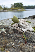 Load image into Gallery viewer, Fern the Frog- Heirloom Wool Doll in Island Cardigan with Flax Linen