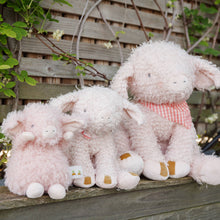 Load image into Gallery viewer, Big Hammie the Pig