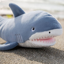 Load image into Gallery viewer, Axel the Shark