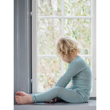 Load image into Gallery viewer, Serendipity Organics Long Sleeve Striped Tee