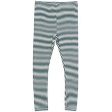 Load image into Gallery viewer, Serendipity Organics Striped Leggings