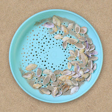 Load image into Gallery viewer, Quut Flying Disc and Sand Sifter. Beach Sand and Pool Toy.