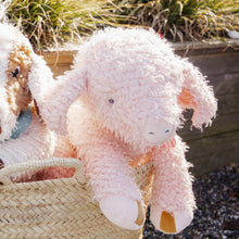 Load image into Gallery viewer, Big Hammie the Pig