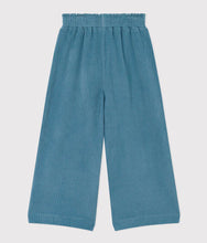 Load image into Gallery viewer, Blue Velour Pants
