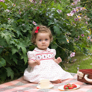 Baby Smocked Ladybug Dress and Bloomers
