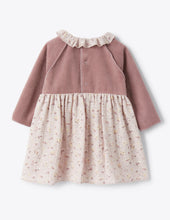 Load image into Gallery viewer, Baby Purple Grapes Long-Sleeve Dress