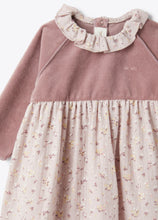 Load image into Gallery viewer, Baby Purple Grapes Long-Sleeve Dress