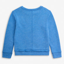 Load image into Gallery viewer, Blue sweatshirt on a light gray background