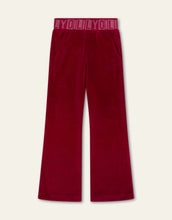 Load image into Gallery viewer, Perky Velvet Flare Pants