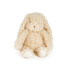 Load image into Gallery viewer, Harey the Bunny