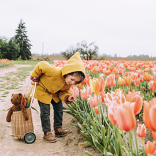 Load image into Gallery viewer, Senger Naturwelt Floppy Brown Bear Small or Large