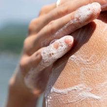 Load image into Gallery viewer, Hoppin' Fresh Body Wash