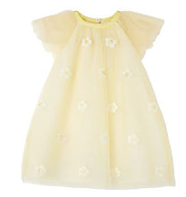 Load image into Gallery viewer, Baby Embroidered Daisies Dress