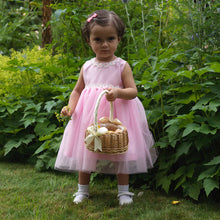 Load image into Gallery viewer, Baby Daisy Tulle Party Dress