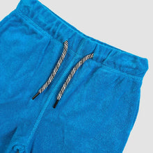 Load image into Gallery viewer, Appaman Camp Shorts- Blue Jewel