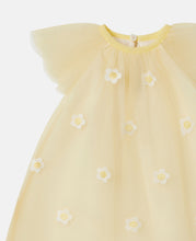 Load image into Gallery viewer, Baby Embroidered Daisies Dress