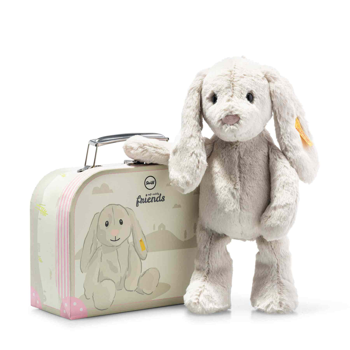 Hoppie Rabbit in a Suitcase