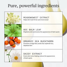 Load image into Gallery viewer, Golden Hour Body Serum
