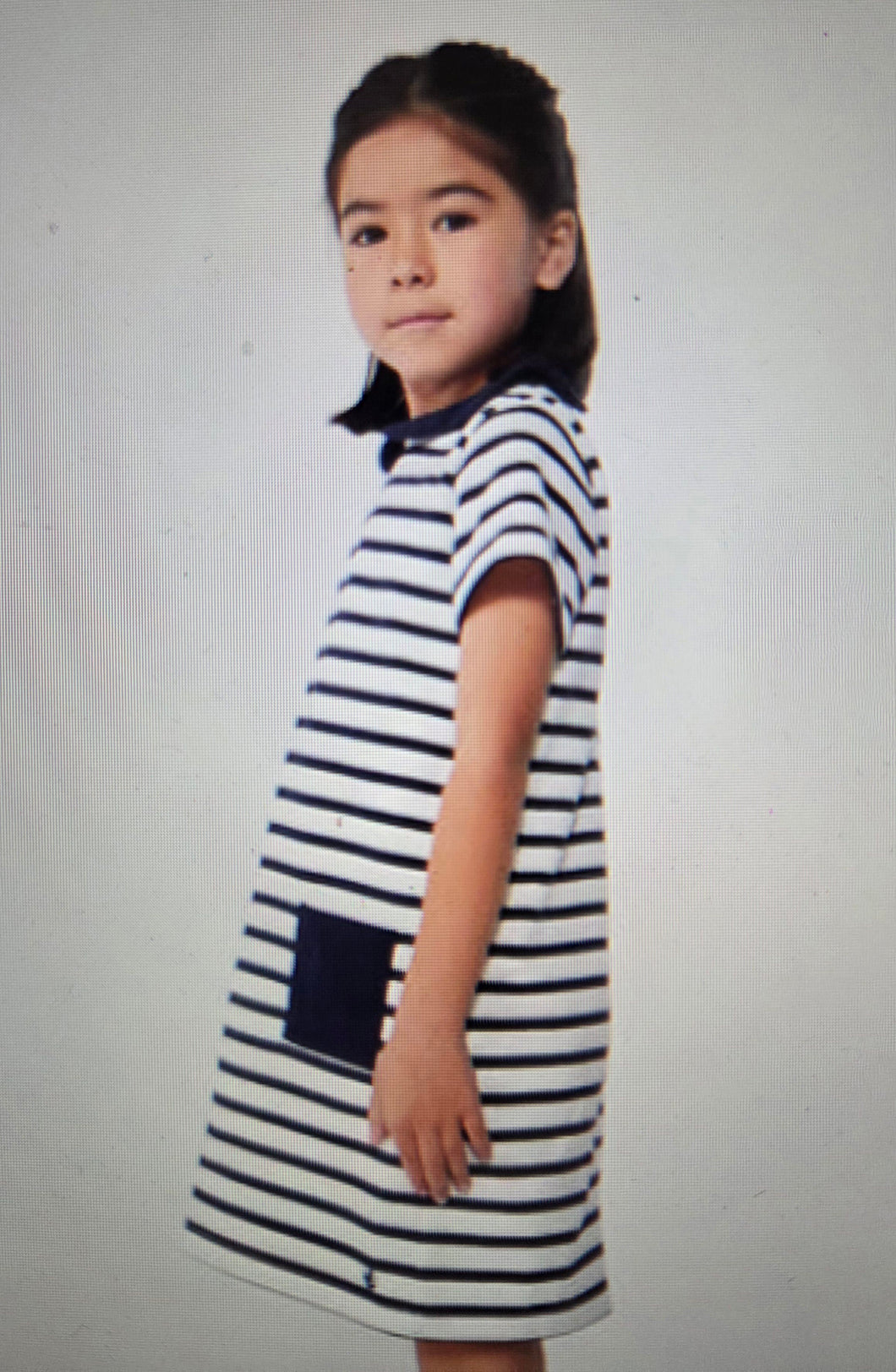 Striped Collared Dress with Pockets