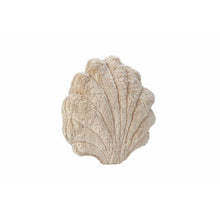 Load image into Gallery viewer, Senger Naturwelt Scallop Shell
