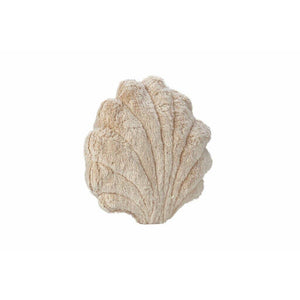 Senger Naturwelt Scallop Shell