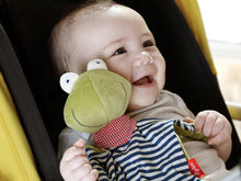 Load image into Gallery viewer, Sigikid Organic Frog Blankie
