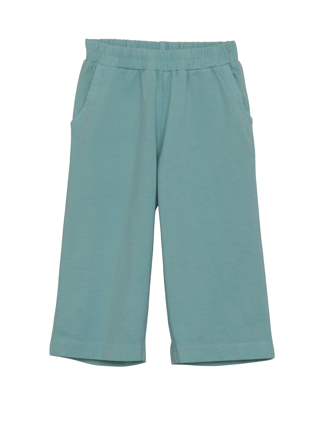 Reef Jersey Pants