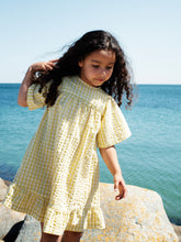Load image into Gallery viewer, Lemon Checks Flair Dress
