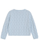 Load image into Gallery viewer, Blue Twig Sweater
