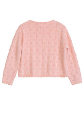 Load image into Gallery viewer, Peach Twig Sweater
