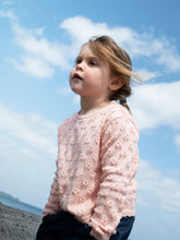Load image into Gallery viewer, Peach Twig Sweater
