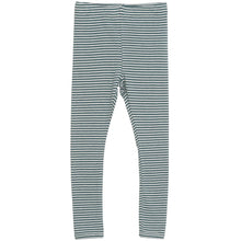 Load image into Gallery viewer, Serendipity Organics Striped Leggings
