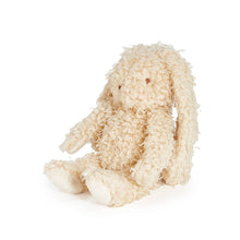 Load image into Gallery viewer, Harey the Bunny
