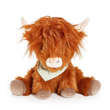 Load image into Gallery viewer, Hamish the Highland Cow
