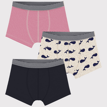 Load image into Gallery viewer, 3-Pack Stripe, Solid, and Whale Boxer
