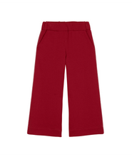 Load image into Gallery viewer, Red pants on a white background
