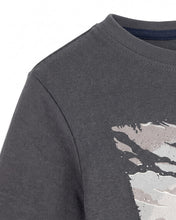 Load image into Gallery viewer, Graphic Long Sleeve
