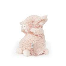 Load image into Gallery viewer, Wee Hammie the Pig
