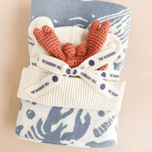 Load image into Gallery viewer, Nautical Blanket Gift Set with Teether
