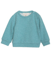 Load image into Gallery viewer, Baby Nile Sweatshirt
