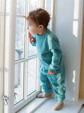 Load image into Gallery viewer, Baby Nile Sweatshirt
