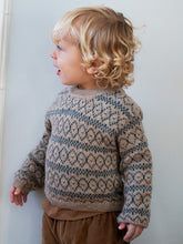 Load image into Gallery viewer, Alpaca Dark Reef Pattern Sweater
