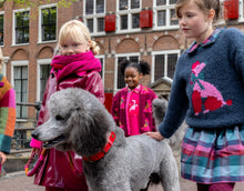 Load image into Gallery viewer, Kouronne Poodle Sweater
