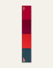 Load image into Gallery viewer, Girls Authentic Colorblock Dog Scarf
