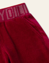 Load image into Gallery viewer, Perky Velvet Flare Pants
