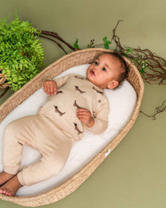 Doxie Dog Jacquard Knit Baby Raglan Pullover (Organic)