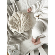 Load image into Gallery viewer, Senger Naturwelt Scallop Shell
