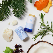 Load image into Gallery viewer, Going Places Lip Balm
