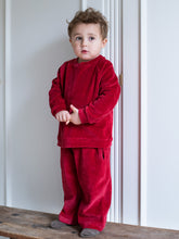 Load image into Gallery viewer, Velour Blouse

