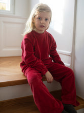 Load image into Gallery viewer, Velour Pants
